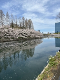 明日からだよん✌🏻️