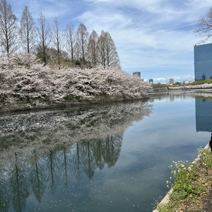 明日からだよん✌🏻️