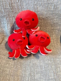 おはようございます‼️🍂