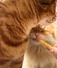 ありがとう💗💗💗