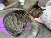 何事も挑戦あるのみ！