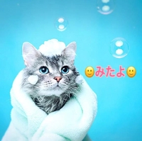 みたよ(*ˊ˘ˋ*)♡