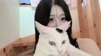 ねこちゃん