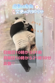 コロコロコロリン???