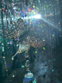 料金改正とお知らせ💁‍♂️⋆͛📢⋆