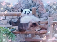 義務を果たしましたっ🫡✨✨✨