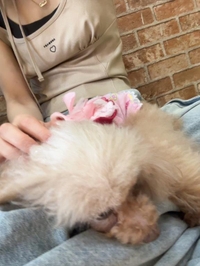 あっという間に4日目！☀️