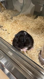 また凍結しました（ ;  ; ）