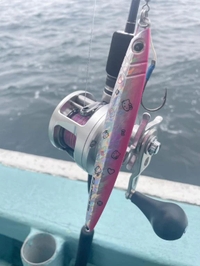 どはまりちゅう🐟🩵