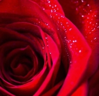 お知らせ⋆͛📢⋆