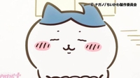 来ております！
