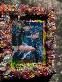 料金改正とお知らせ💁‍♂️⋆͛📢⋆