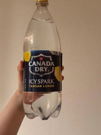 記憶力がないことに嘆きたくないタコォ