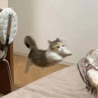 公式LINE使えなくなった、、