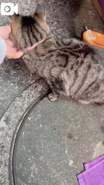 みたよ／ふたりの上司