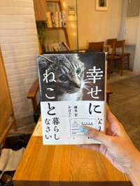 🤍しゅ！🤍