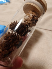 魔除け作りました