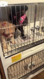 結局抱っこかーい🤣