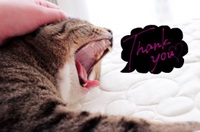 今日も満員御礼🌸