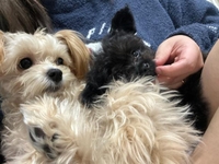 ラブラブぴっぴ💕👫💕