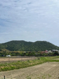 今日も(*'-'*)ﾉ"