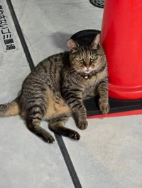 みたよ／シフト