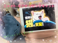 猫の前ではみな無力!!!!!!!!!!🐈‍⬛💕