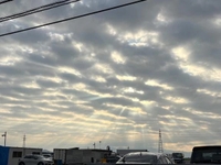 気分はいぇい✌️