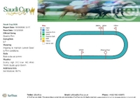 サウジアラビアは