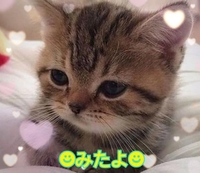 みたよ(*ˊ˘ˋ*)♡