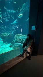 かんしゃっ‼️