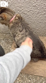 みたよ／シフト