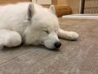 本日からのこと