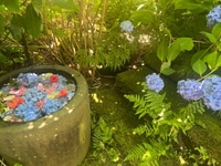 お休みいただきます。