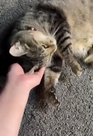 みたよ／シフト