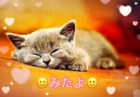 みたよ(*ˊ˘ˋ*)♡