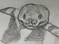 絵かいた₍ᐢ ɞ̴̶̷.̮ɞ̴̶̷ ᐢ₎​