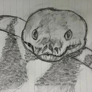 絵かいた₍ᐢ ɞ̴̶̷.̮ɞ̴̶̷ ᐢ₎​