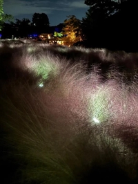 やっぱり……😥😥