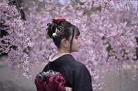 次回14時ごろ〜🈳
