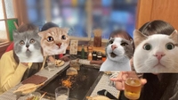 もんじゃ?