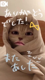 ありみゃと〜🎀ᩚ