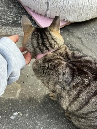 みたよ／シフト