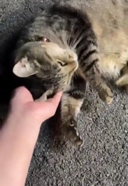 みたよ／シフト