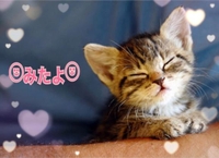 みたよ(*ˊ˘ˋ*)♡