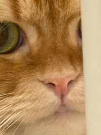 ありがとう💗💗💗