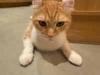 また来週???♀??