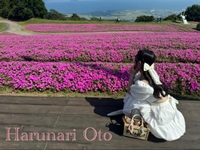 好きな季節は？🌷