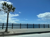 今日と明日居るよ！！(┓^ω^)┛))ﾖｲｻﾖｲｻ♪(┓^ω^)┛))ﾖｲｻﾖｲｻ♪