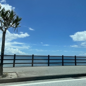 今日と明日居るよ！！(┓^ω^)┛))ﾖｲｻﾖｲｻ♪(┓^ω^)┛))ﾖｲｻﾖｲｻ♪